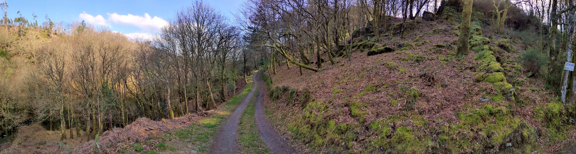 PANO_20210320_104039
